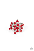 Load image into Gallery viewer, *Seeing Eye to Cat&#39;s Eye
